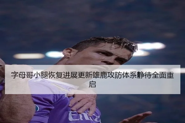 字母哥小腿恢复进展更新雄鹿攻防体系静待全面重启